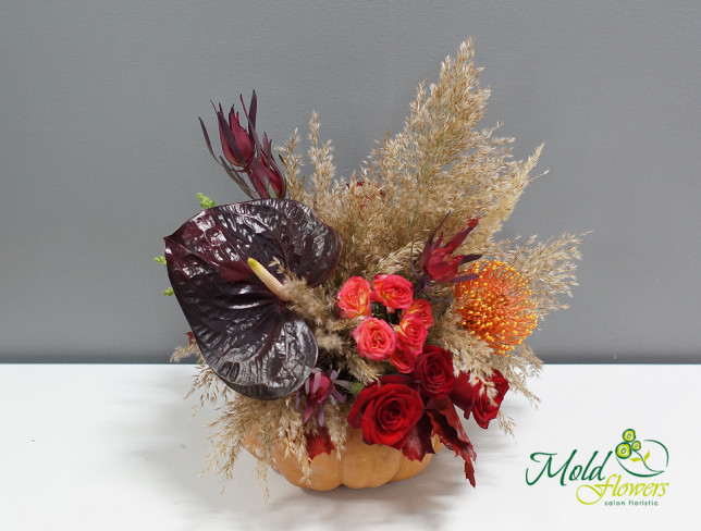 Arrangement with Red Roses, Anthurium, and Leucospermum with Pumpkin photo